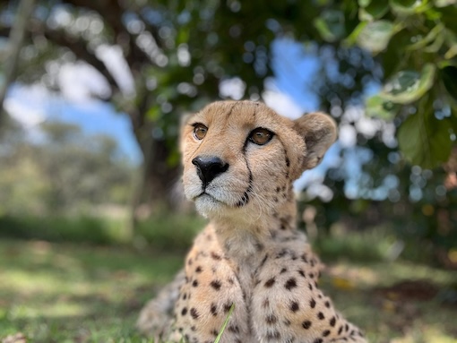 Libran Wildlife Reserve