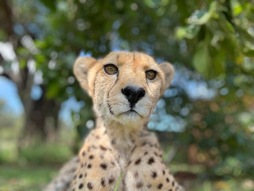 Libran Wildlife Reserve